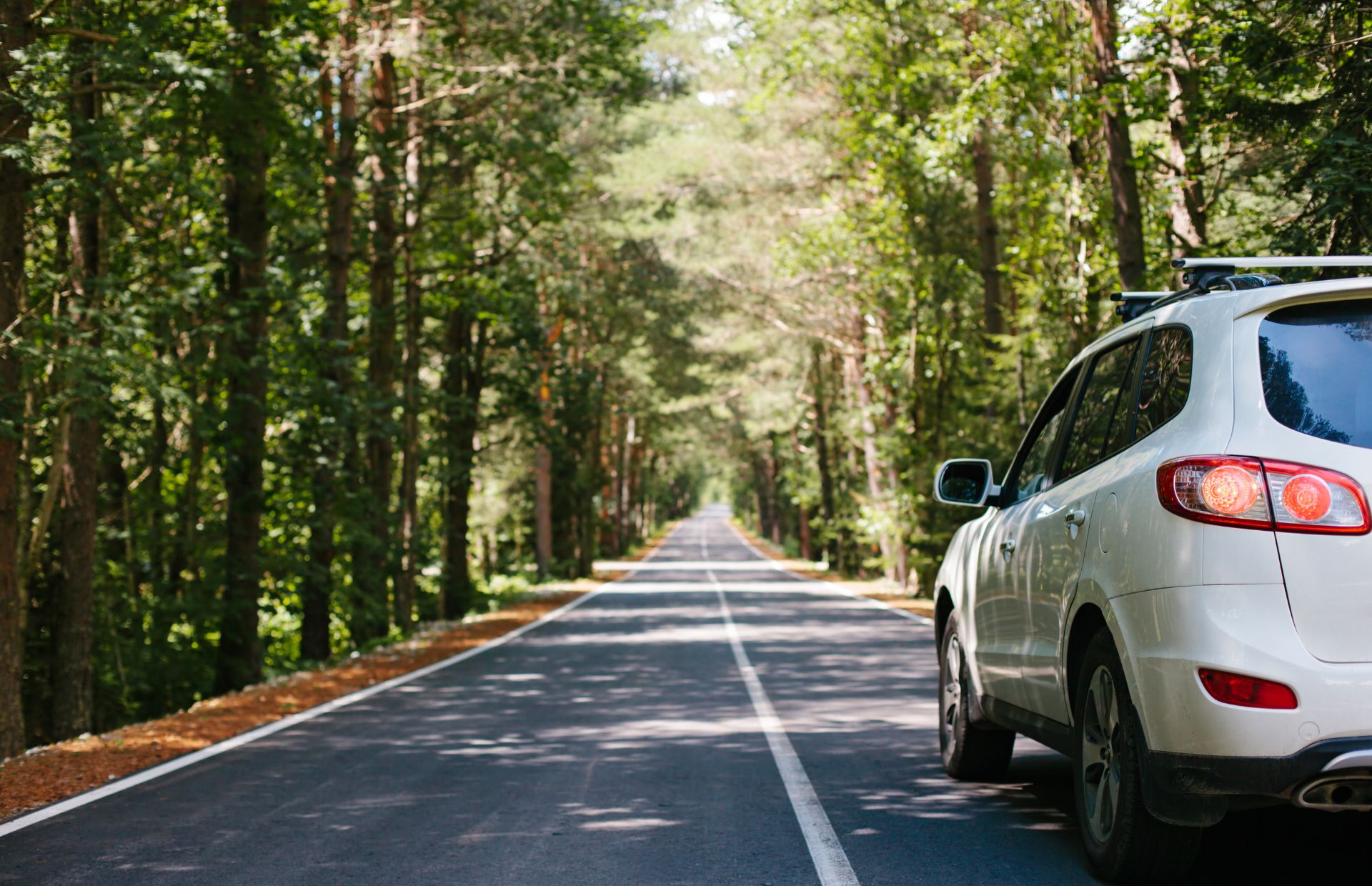 Conheça o Brasil de carro: roteiros incríveis para explorar o país