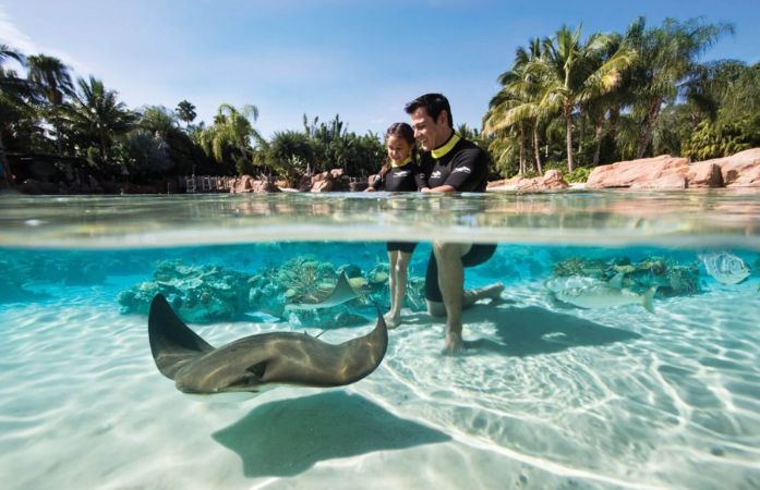 Discovery Cove é uma experiência única