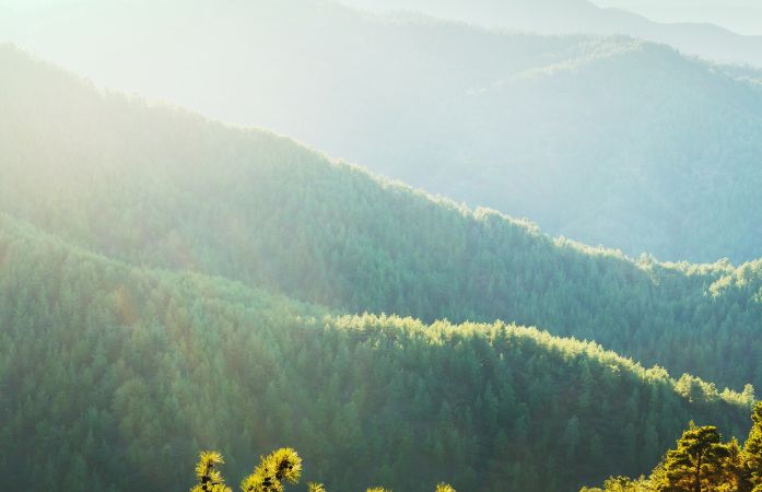 Monte Verde para quem busca paz e tranquilidade